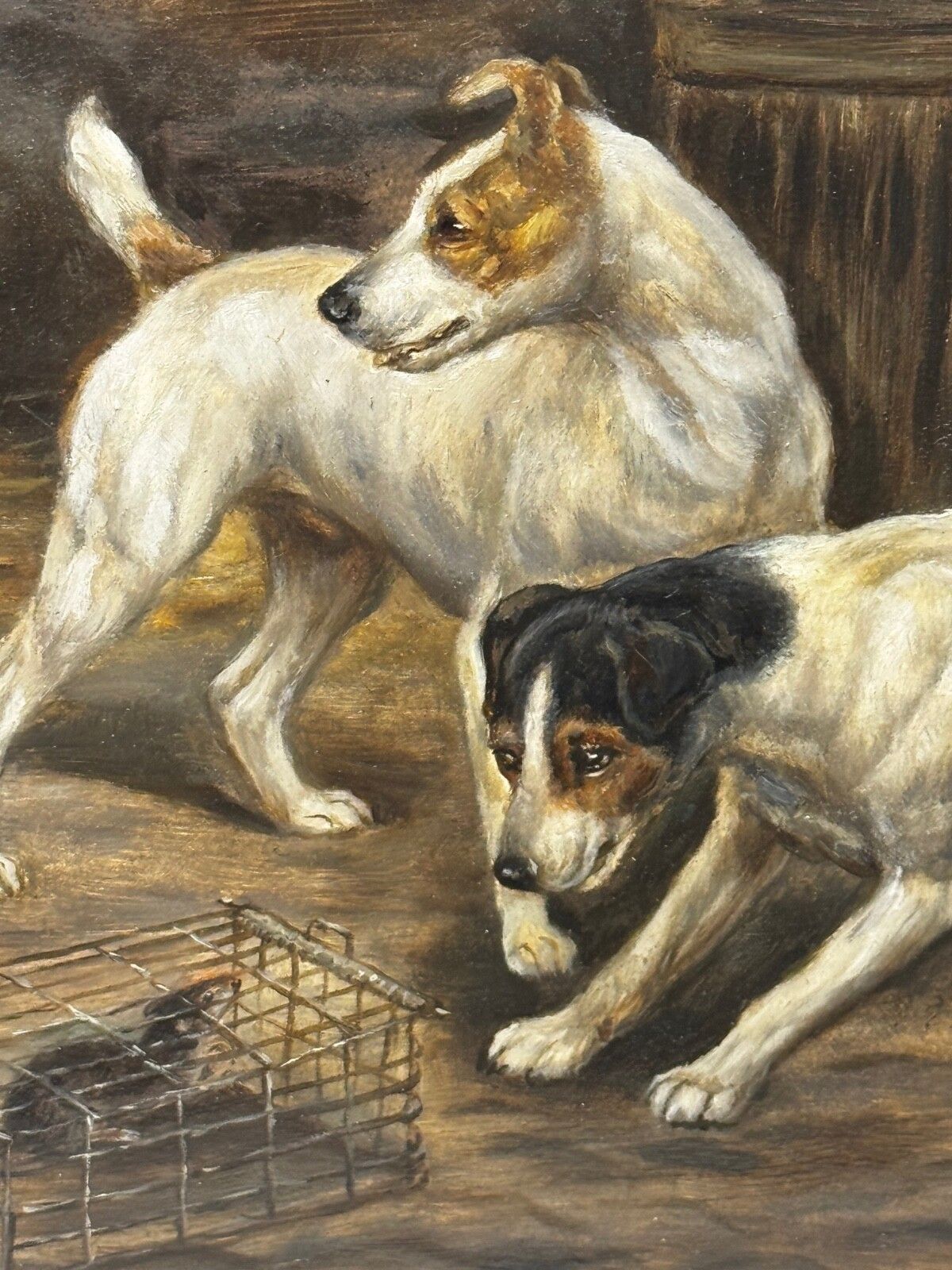 🐾 Victoriaans meesterwerk, rat gevangen, Jack Russell Terriers op wacht, ca. 1880 photo for sale