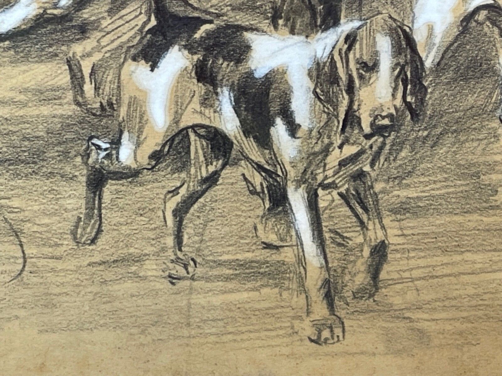 4000.0 Jachttekening met witte hooglichting van American Foxhounds door Michael Lyne photo