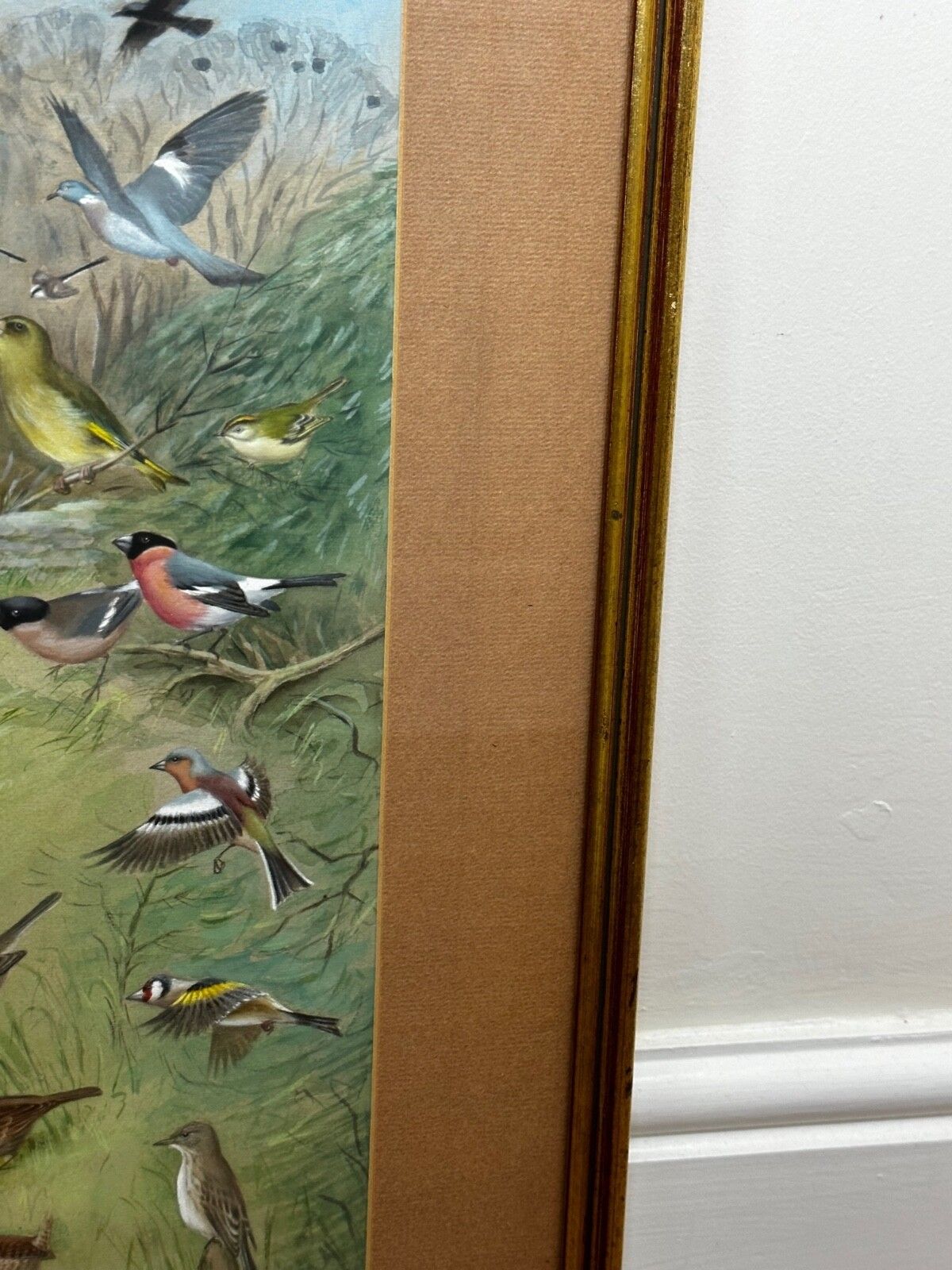 A Winter Gathering Robin & Mixed British Songbirds Manner Of Archibald Thorburn photo for sale