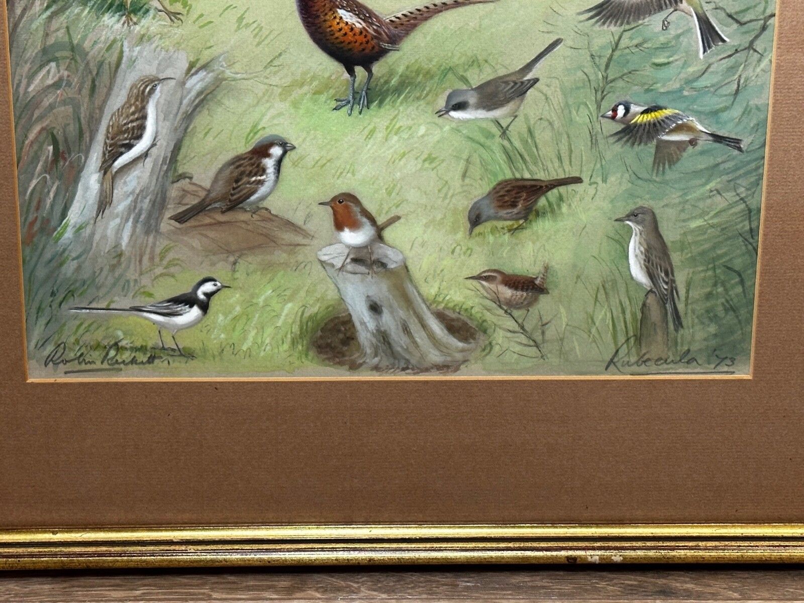 A Winter Gathering Robin & Mixed British Songbirds Manner Of Archibald Thorburn photo Kunst