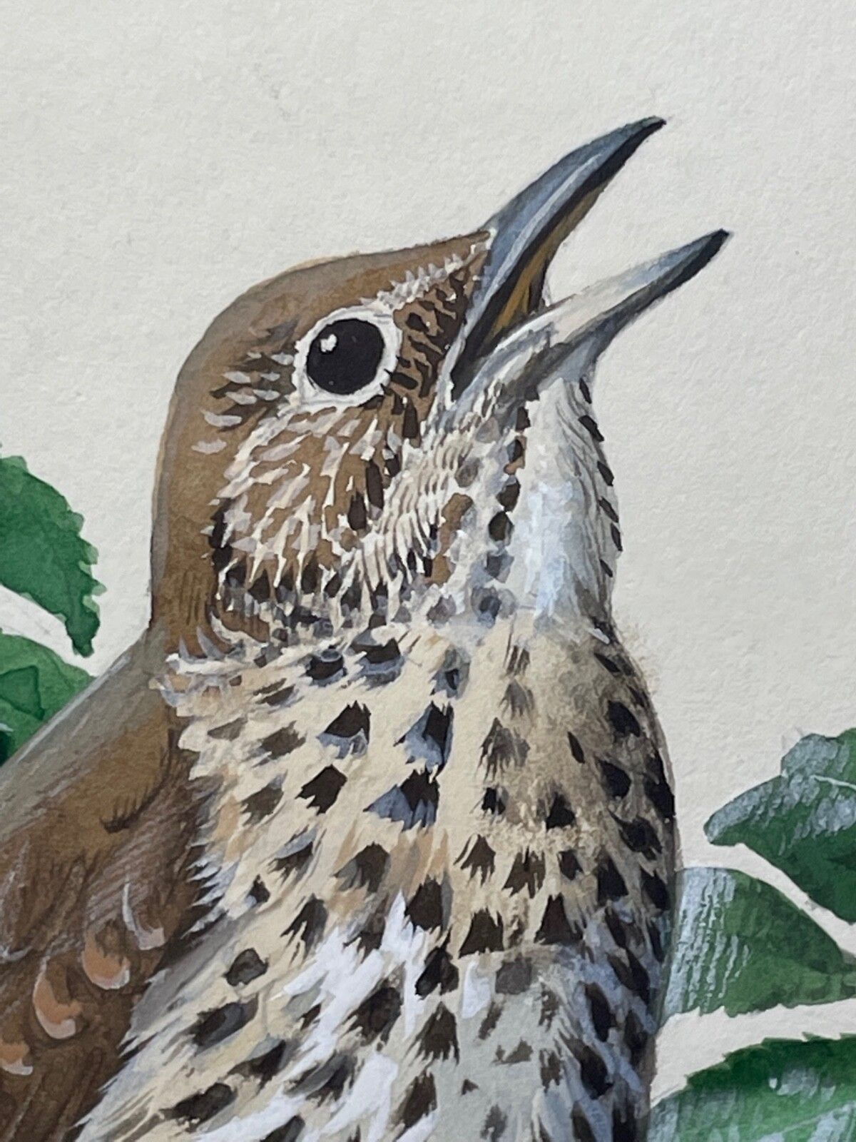 photo vintage Mid Century Song Thrush Vogelschilderij door Charles Frederick Tunnicliffe OBE RA