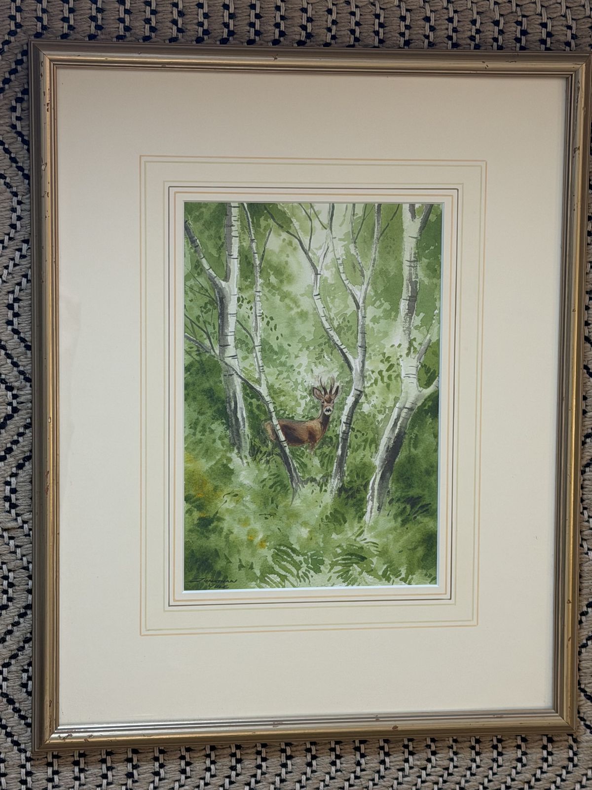Jonathan Yule Signed Watercolour Roe Deer In Woodlands Framed Picture photo furniture