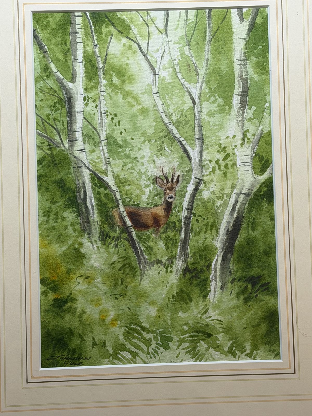 Jonathan Yule Signed Watercolour Roe Deer In Woodlands Framed Picture photo for sale