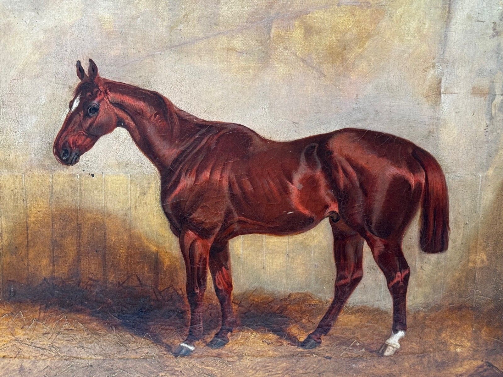 🐎 Equine Elegance Chestnut Hunter In Stable C1842 By Charles Bilger Spalding Ra photo furniture