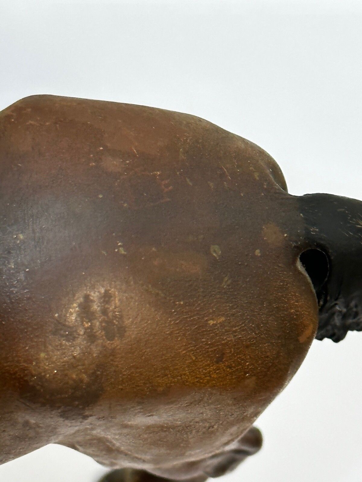 Kunst Victoriaans Oostenrijks ruitersbrons, Bay Hunter paard, Franz Bergman photo