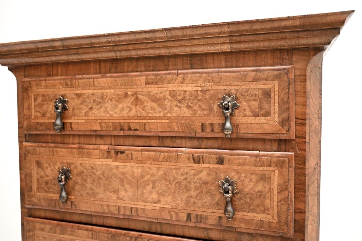 Antique Burr Walnut Chest On Chest Of Drawers photo 845.0