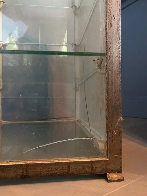 photo vintage Antique Mayer & Meltzer Medical Display Cabinet