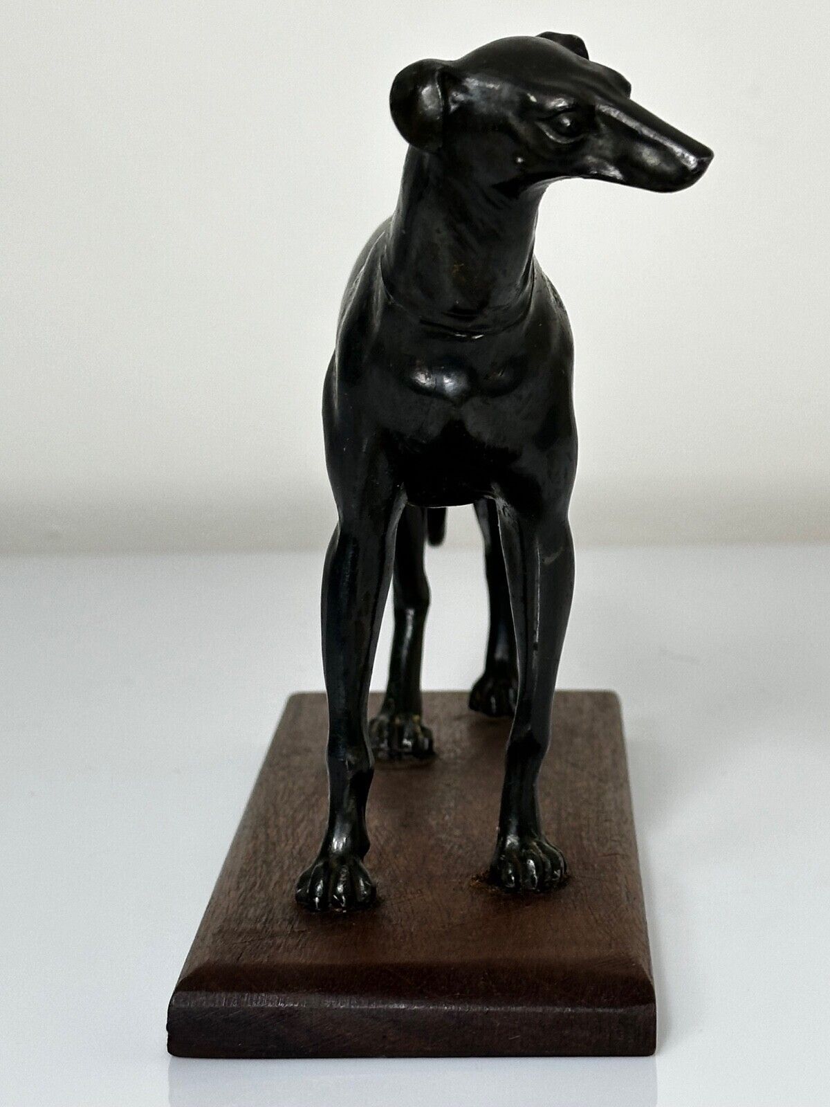 1925.0 Small British Art Deco Sporting Prized Racing Greyhound Stud Bronze Sculpture photo