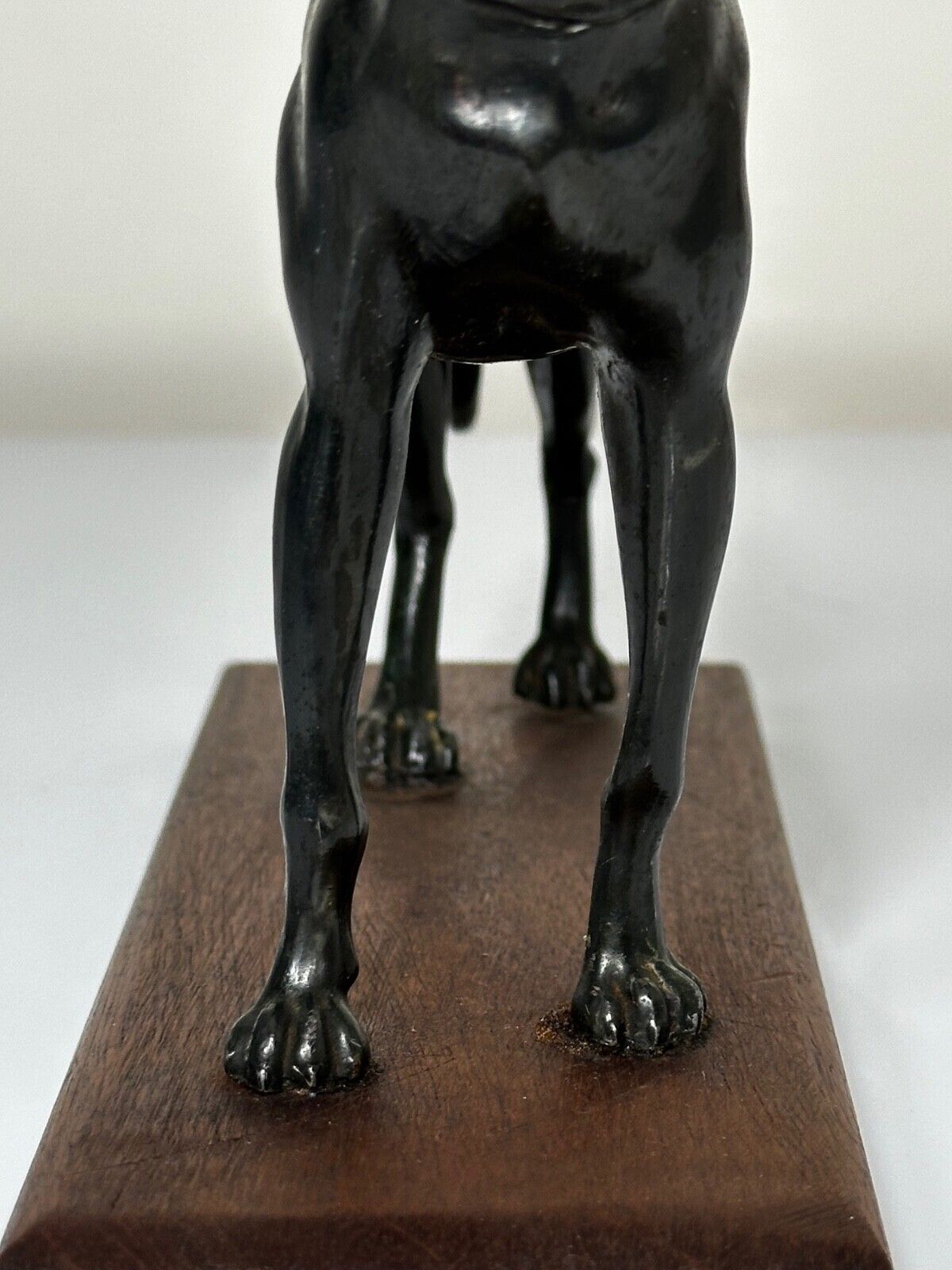 photo vinterior Small British Art Deco Sporting Prized Racing Greyhound Stud Bronze Sculpture