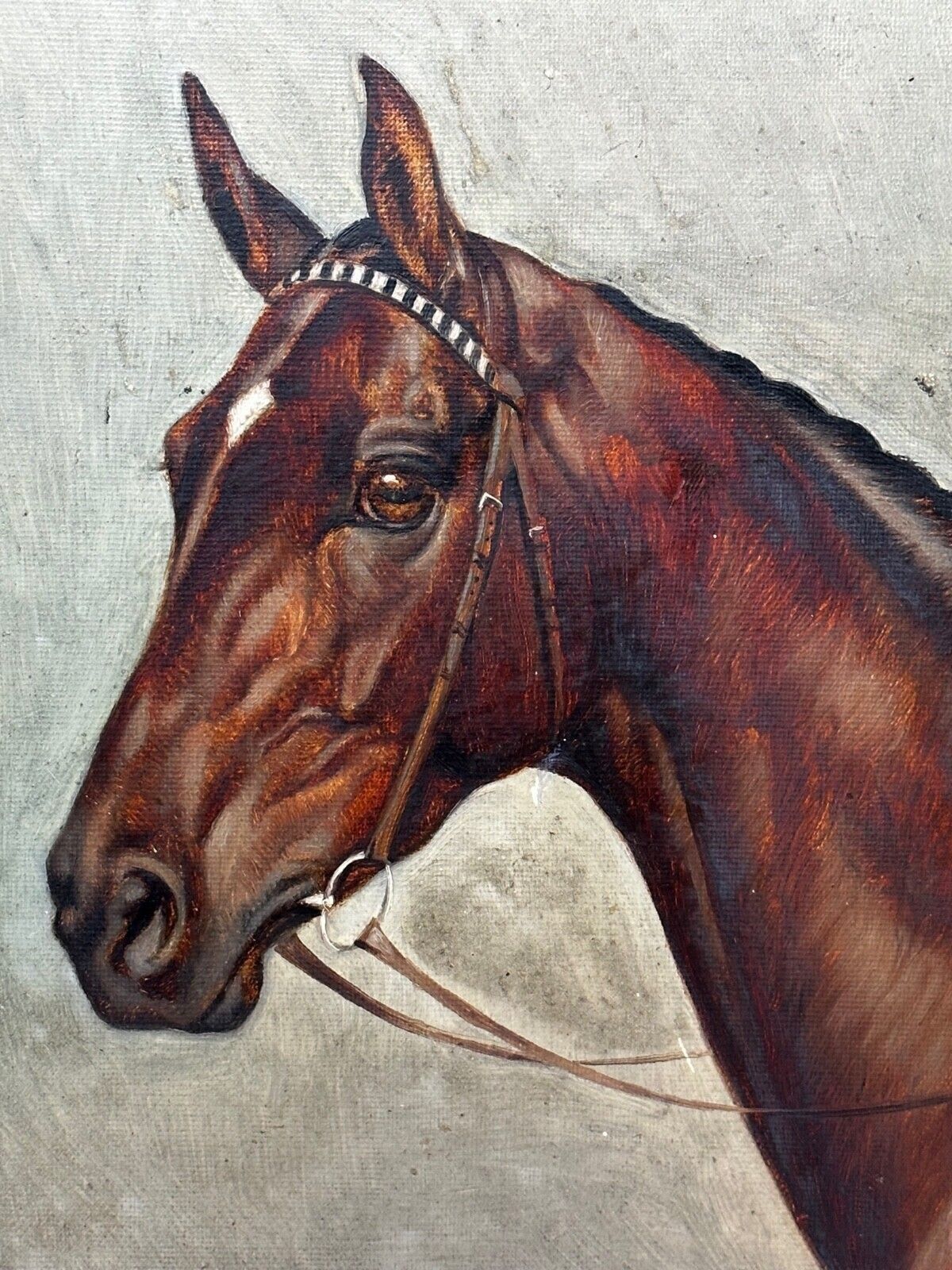 Equestrian Oil Portrait Of Champion Racehorse Craig An Eran By Walter Herbert Wheeler photo furniture