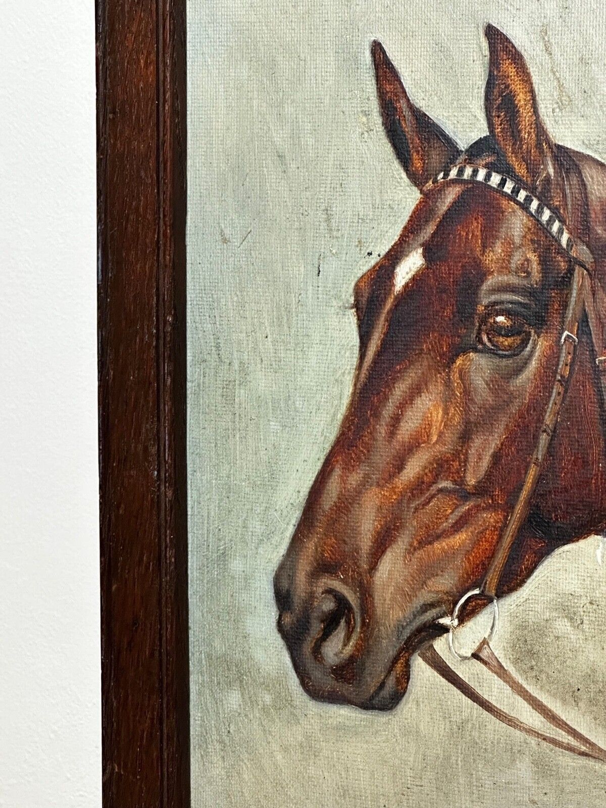 Equestrian Oil Portrait Of Champion Racehorse Craig An Eran By Walter Herbert Wheeler photo Art