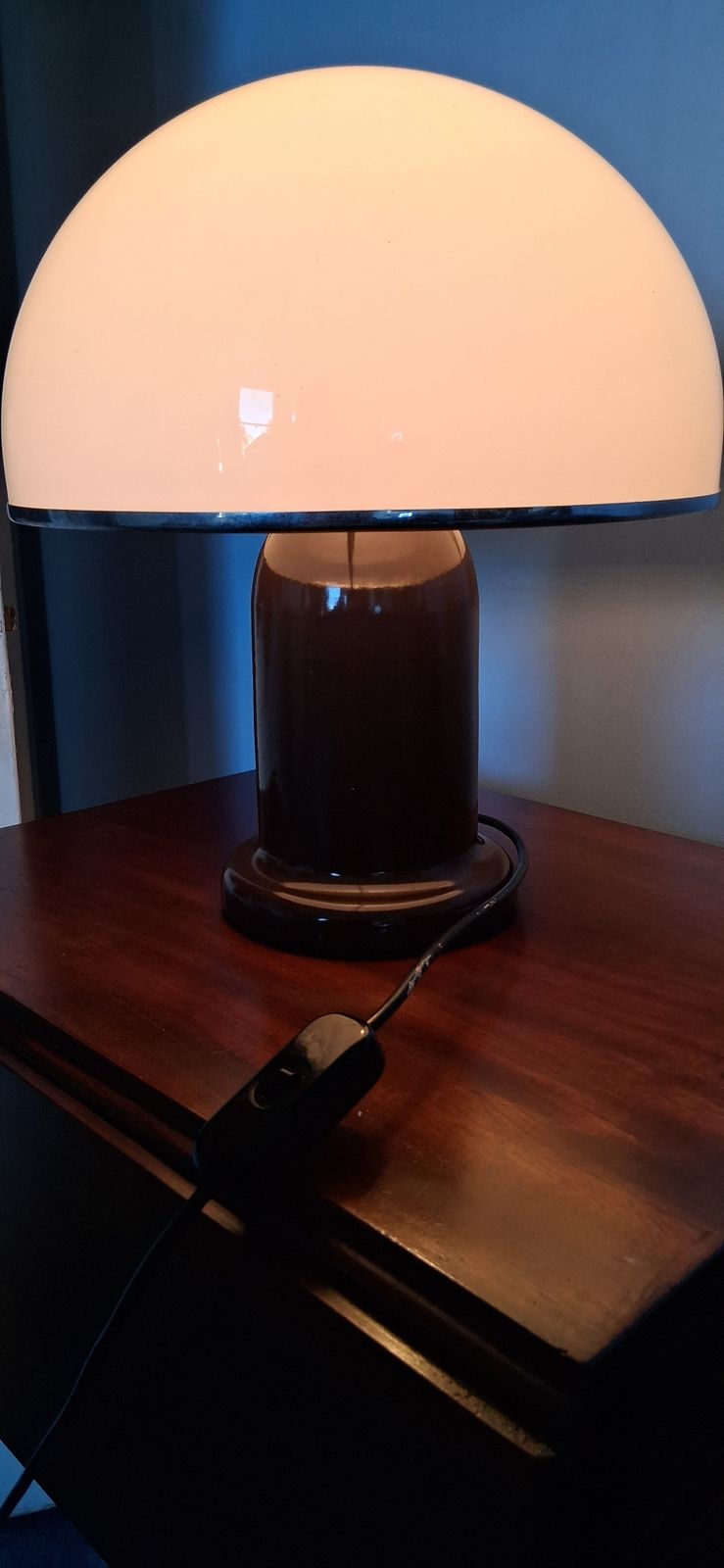 750.0 Habitat Mushroom Plexiglass Table Lamp 1970's photo