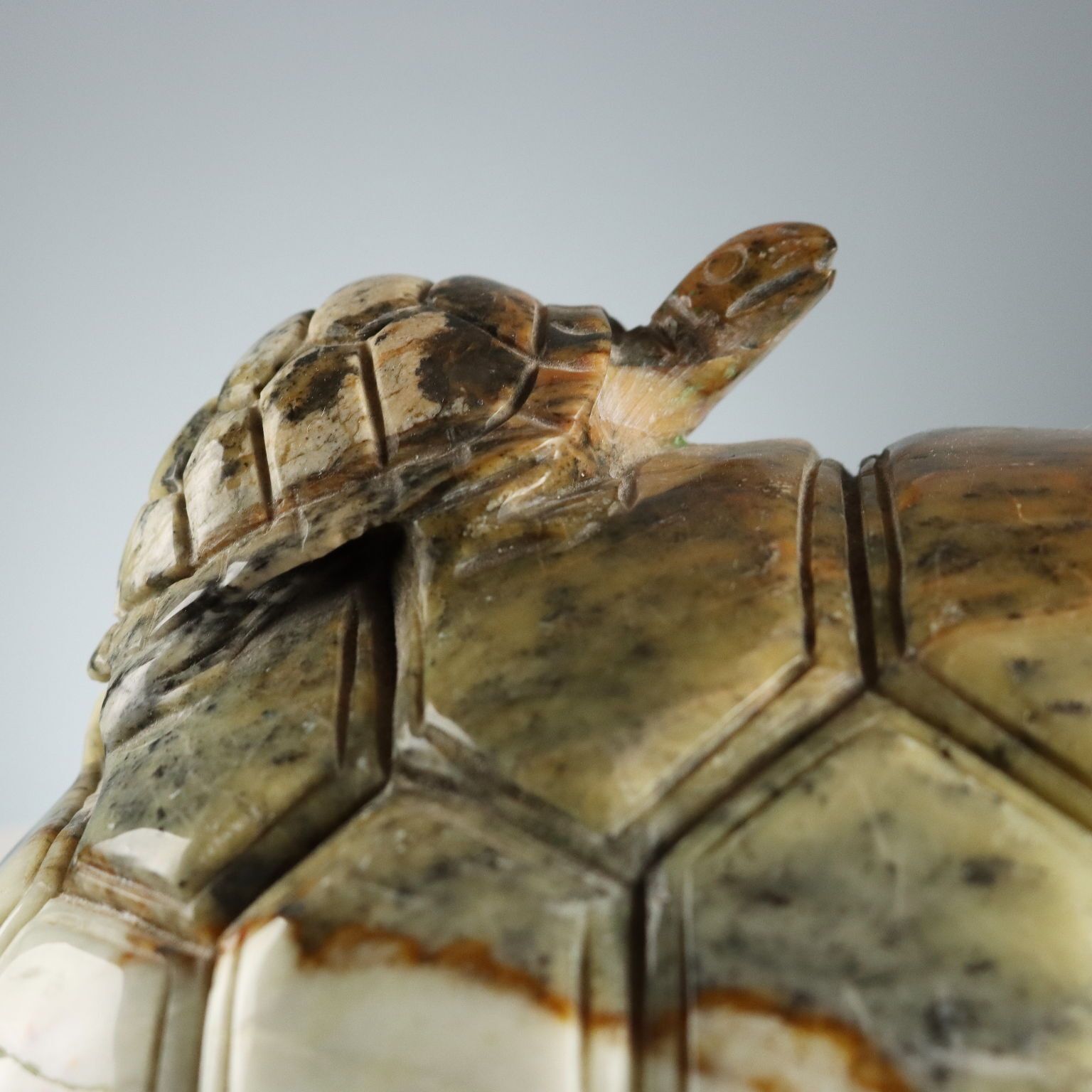 Modern Sculpture Turtle Hard Stone Italy XX Century photo Home Decor