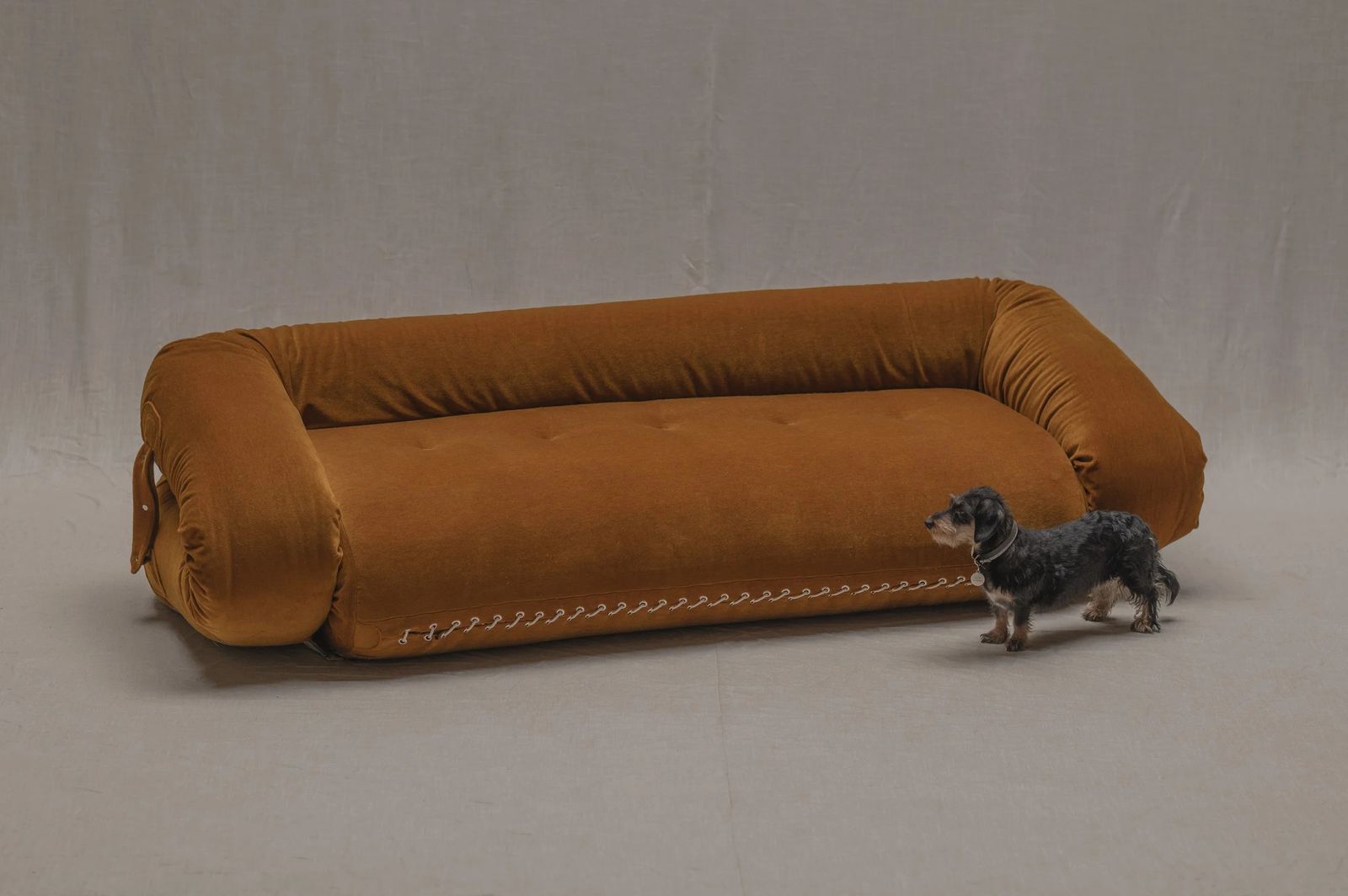 Anfibio Three Seater Sofa By Alessandro Becchi For Giovannetti — 1970s photo for sale