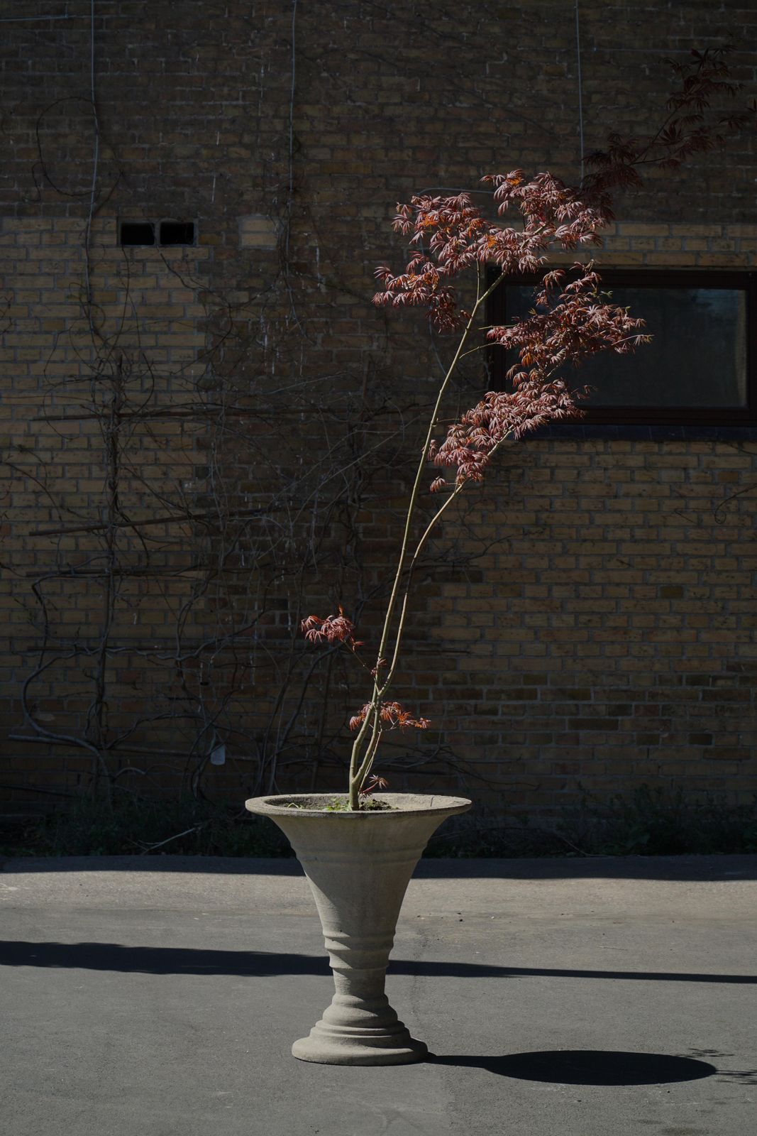 photo buy Cast Concrete Urn / Garden Planter, Mid 20th Century, Scandinavia, 1970s