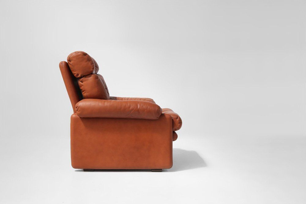 Coronado Lounge Chair In Brown Leather By Tobia Scarpa For B&B Italia, Italy, 1960s photo buy