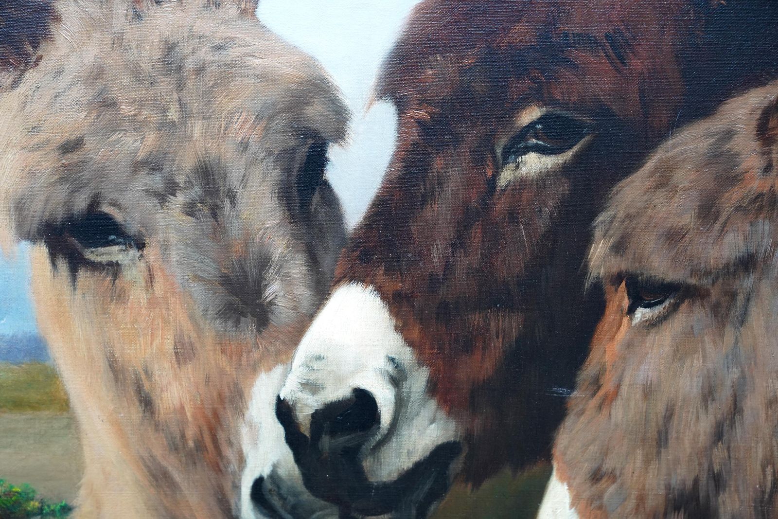 Portrait Of Donkeys In A Landscape   British Victorian Art Animal Oil Painting photo buy