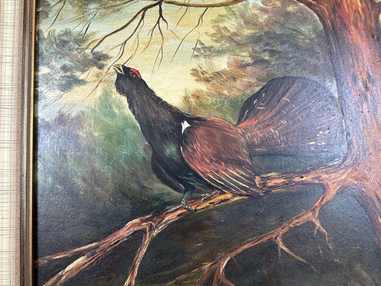 F. Bassler, Capercaillie, Oil On Board, 1900s, Framed photo furniture