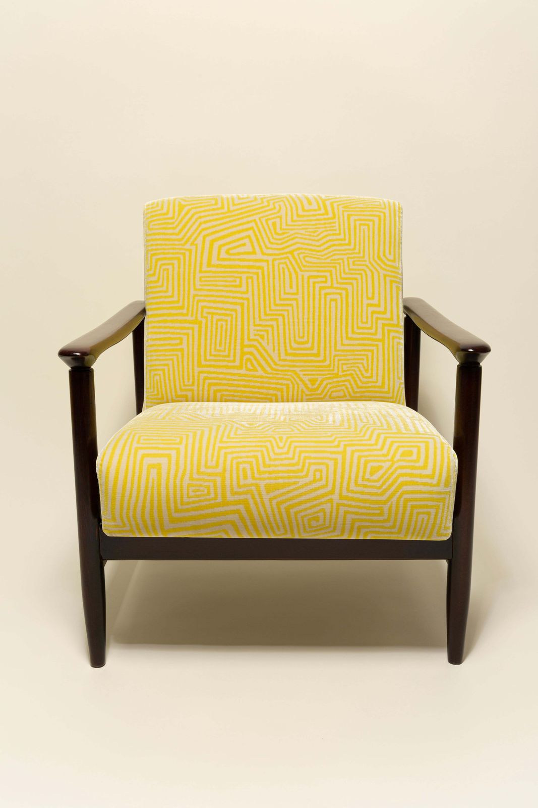 Two Midcentury Gfm142 Armchairs, Jamujungle Velvet, Dedar, E. Homa, Europe, 1960 photo furniture
