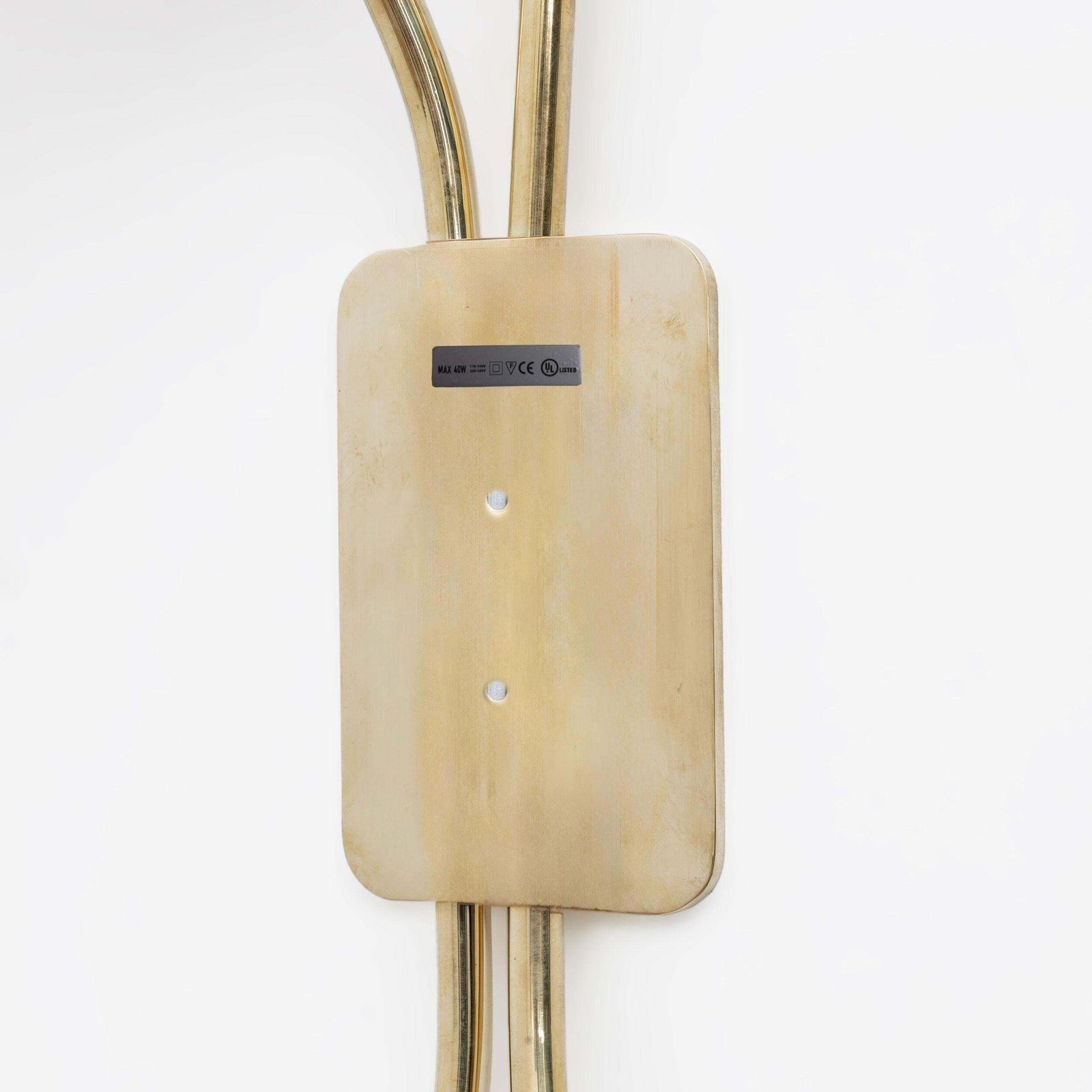 photo for sale Pair Of Tulips Murano Glass And Brass Sconces