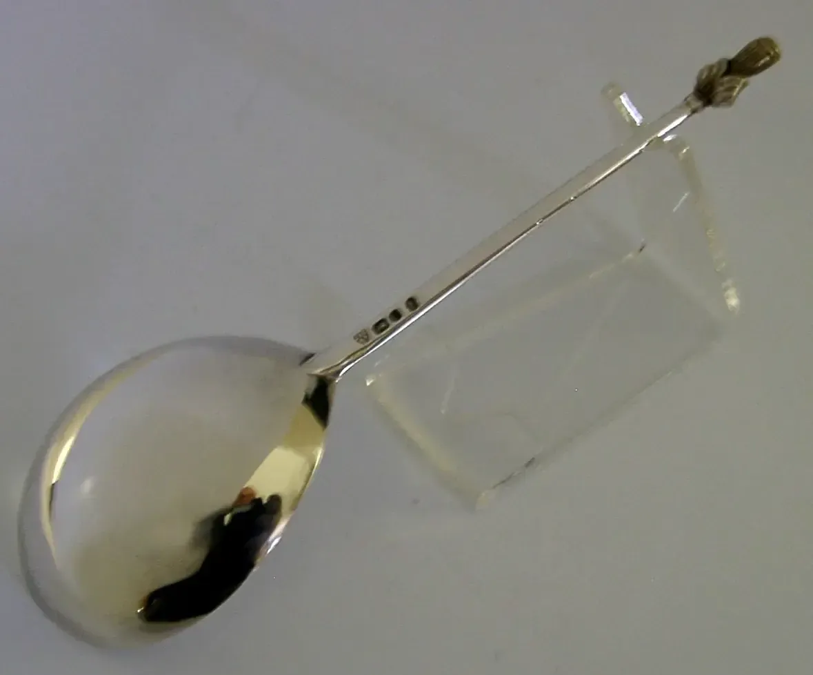 Cased 36g Sterling Silver Queen Elizabeth Maidenhead Spoon 1977 Royalty photo vinterior