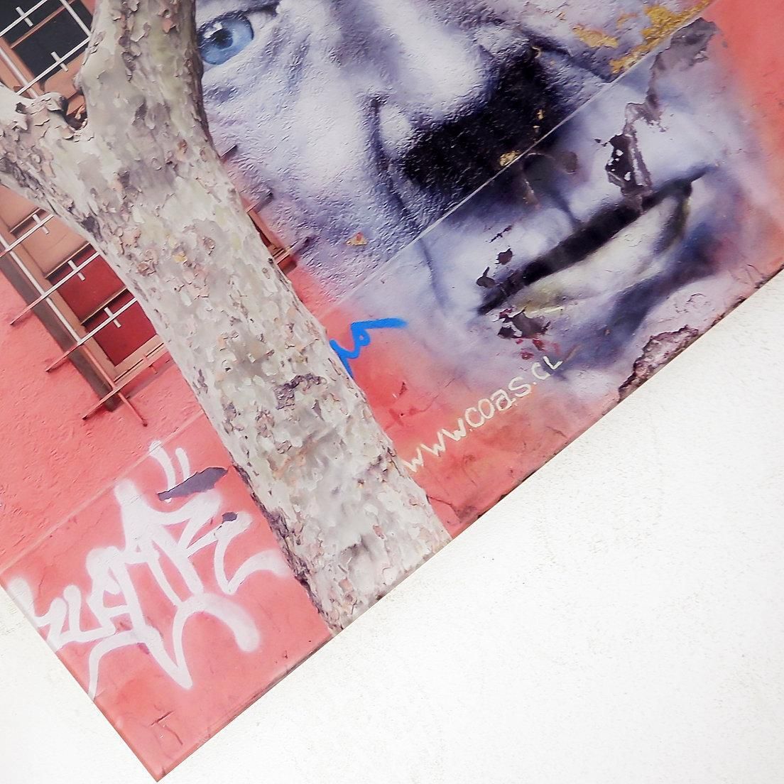 photo for sale Photo Taken In Santiago In The Barrio Bellavista Neighborhood