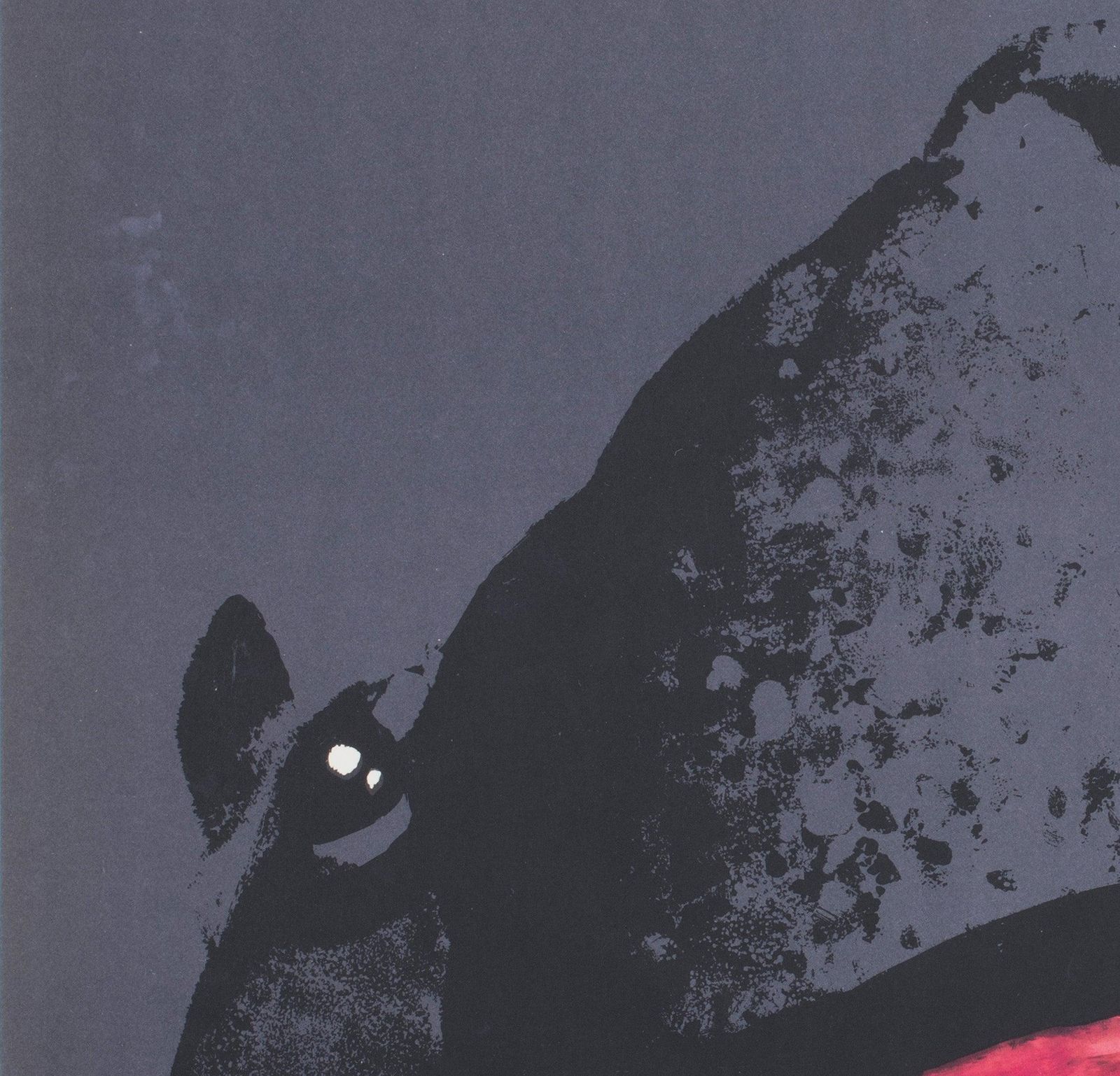 Zwiedzajcie Warszawa Zoo 1967 Polish Poster, Waldemar Swierzy photo 531.0