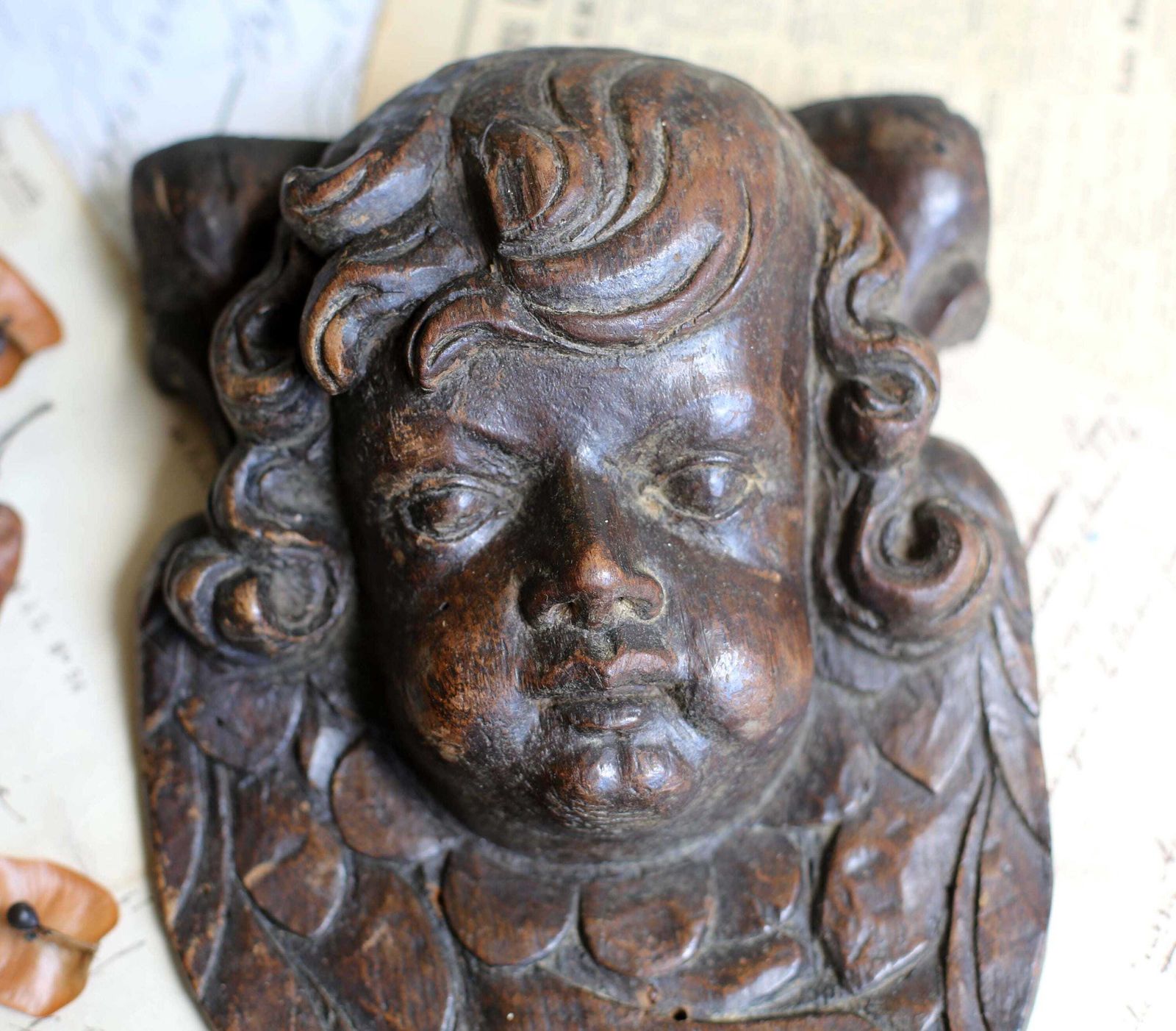 Baroque Putti Fragment Antique Carved Winged Head Wooden Wall Plaque Cherub Face 17th Century photo vinterior