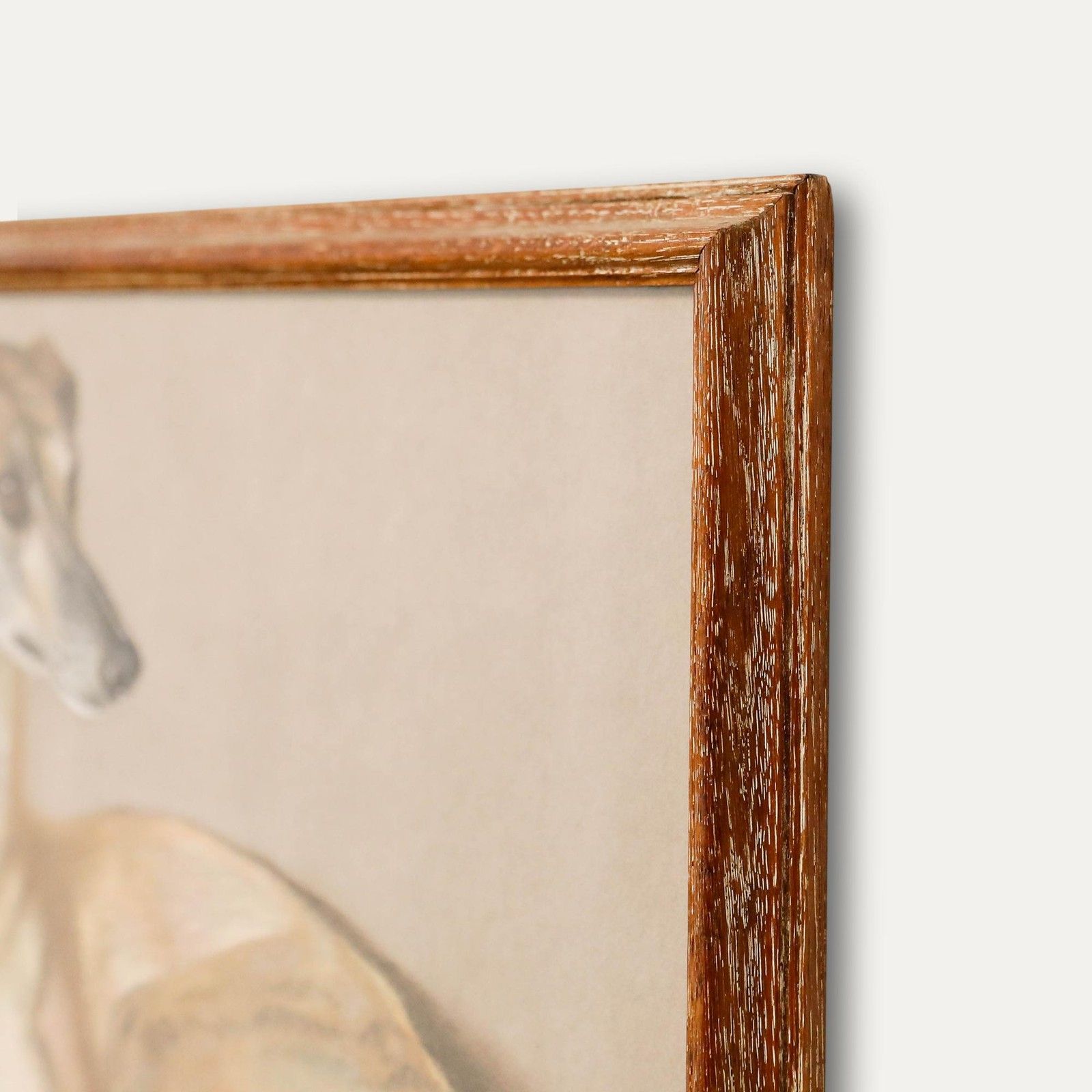 Attrib. David Denyer Framed Mid 20th Century Pastel, Pauline The Whippet photo 450.0