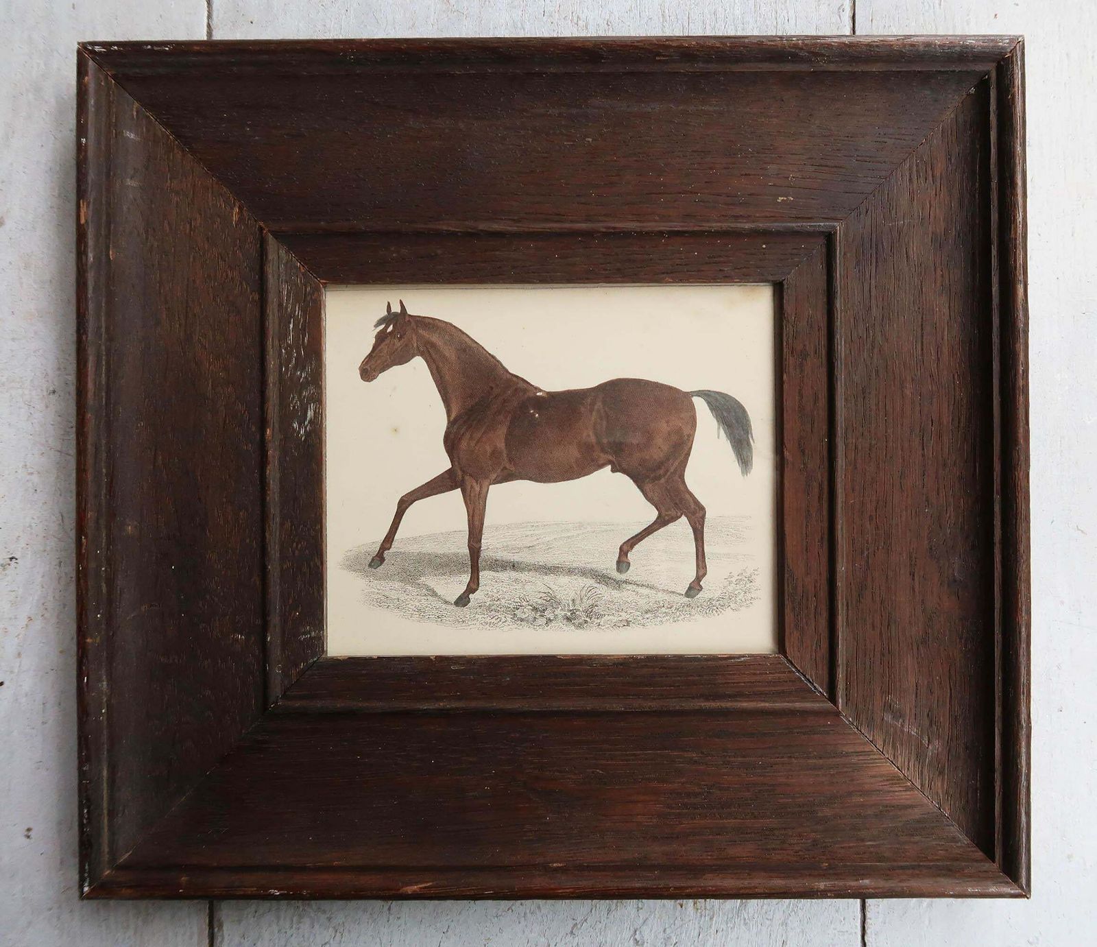 Original Antique Framed Print Of A Racehorse, 1847 photo furniture