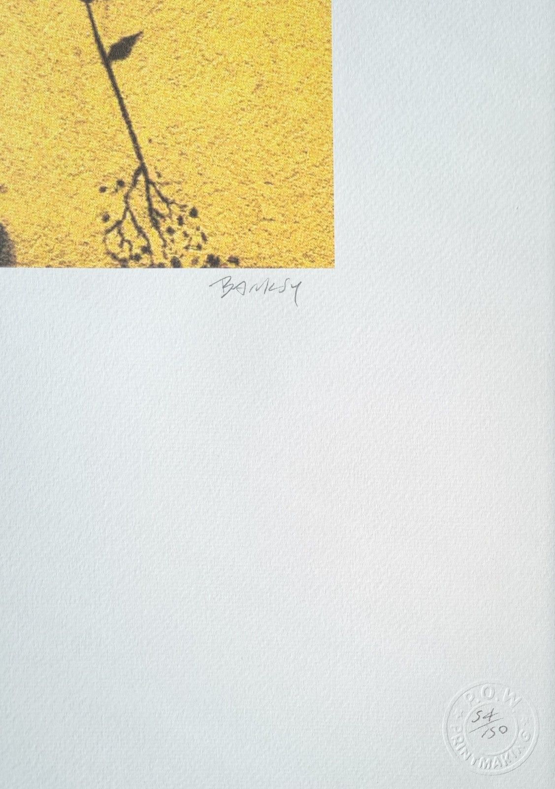 Banksy * Cameraman And Flower * 70x50 Cm * Lithografie * Limitiert # 54/150 photo vintage