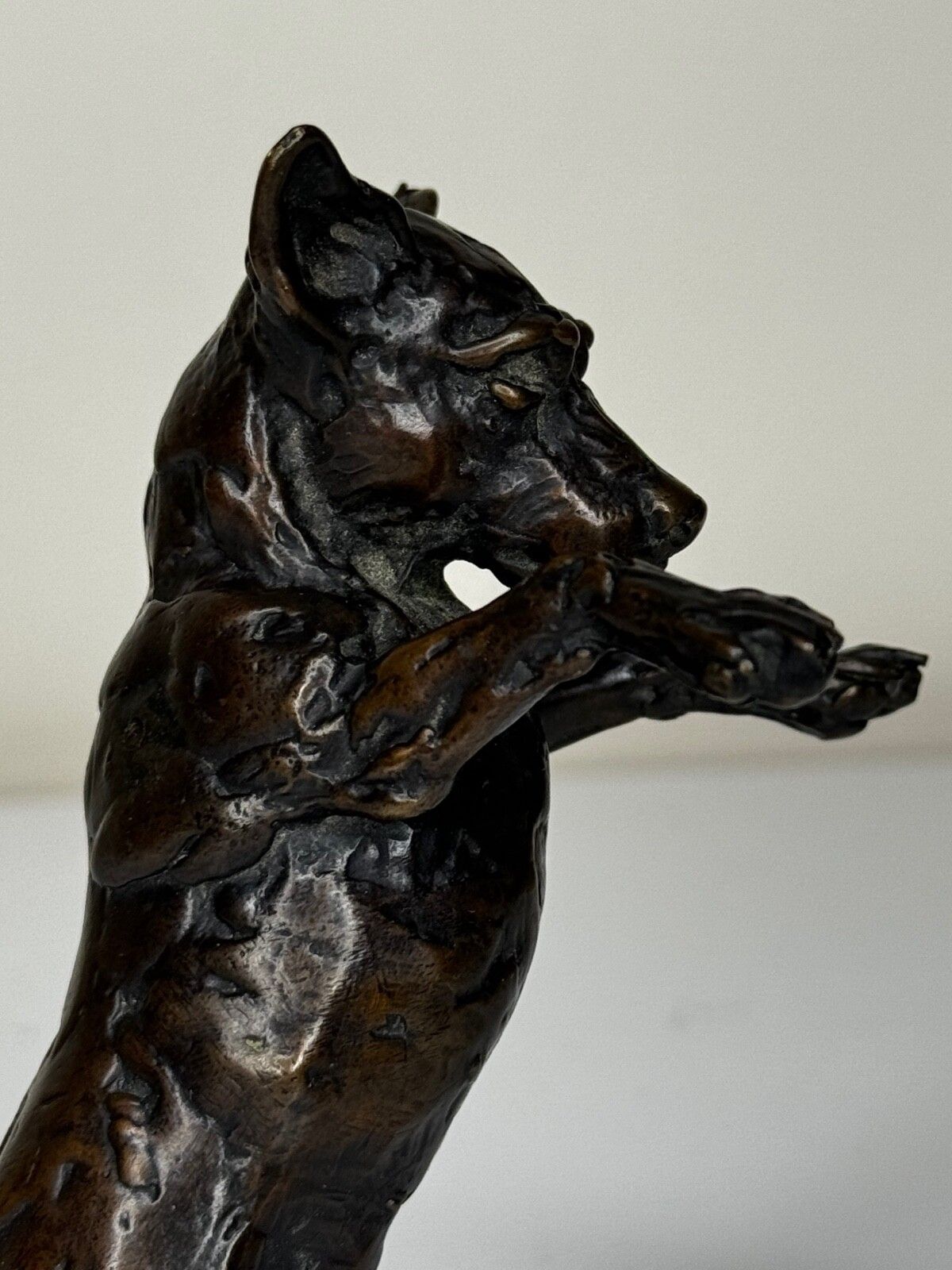 photo for sale Staande hond Jack Russell, gepatineerde bronzen sculptuur van Lucy Kinsella