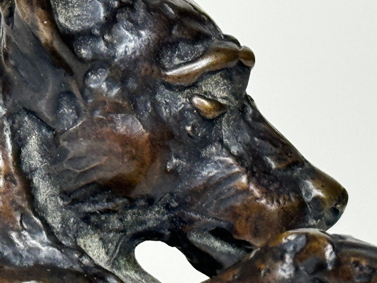 4800.0 Staande hond Jack Russell, gepatineerde bronzen sculptuur van Lucy Kinsella photo