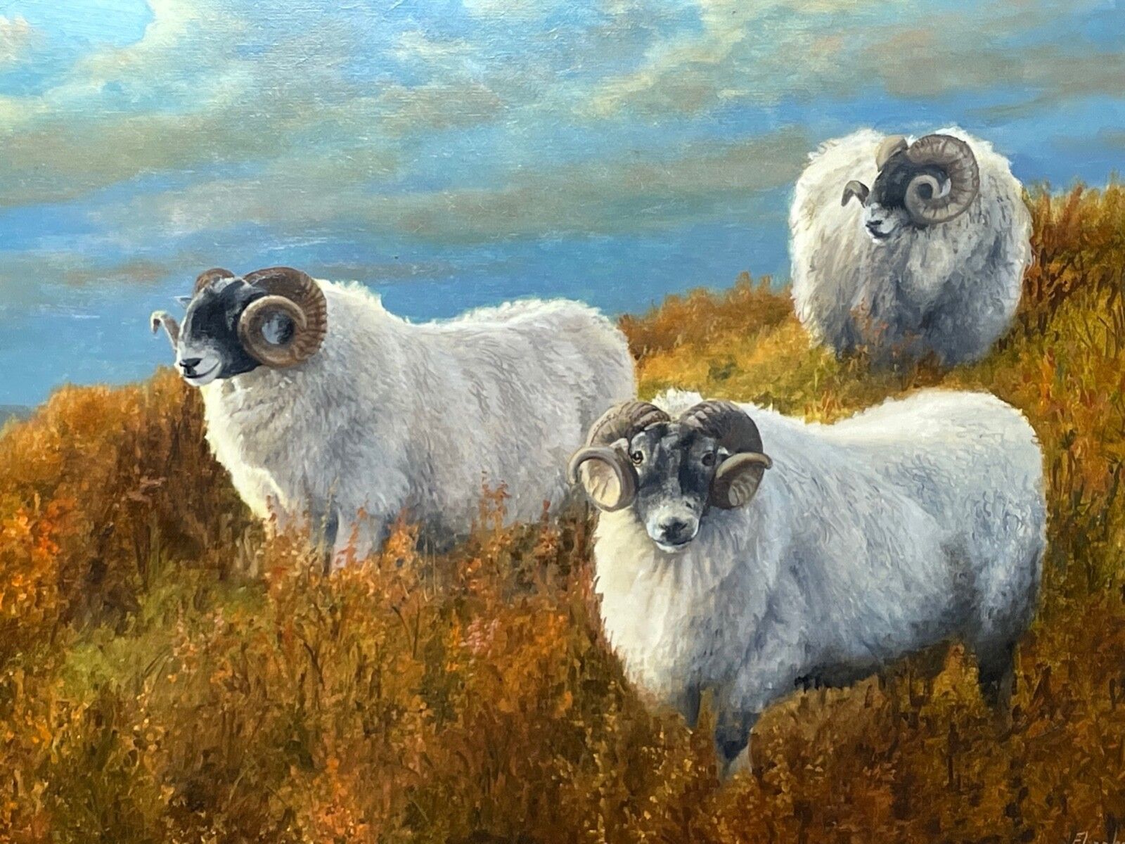 British Oil Painting Sheep In Scottish Highlands Landscape Signed By Elizabeth Halstead, photo for sale