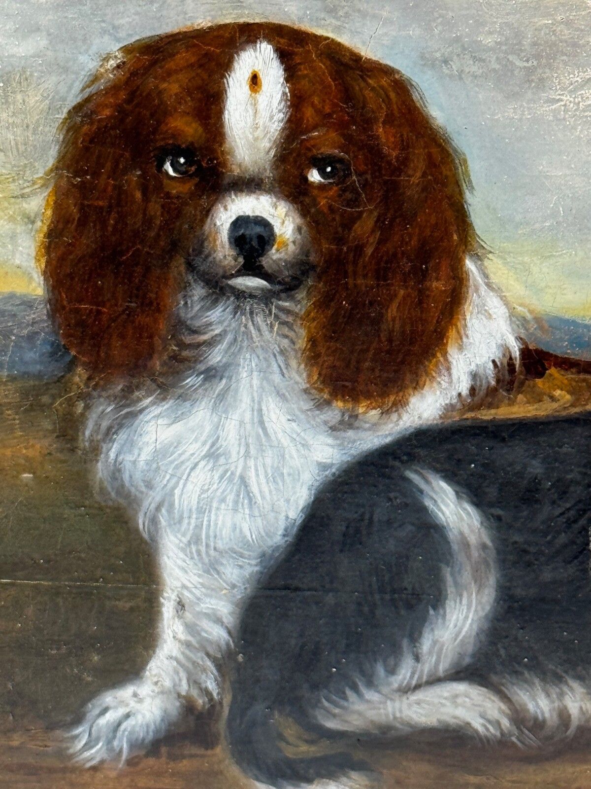 Kunst 19e-eeuws olieverfschilderij, dierenportret van King Charles Spaniëls photo