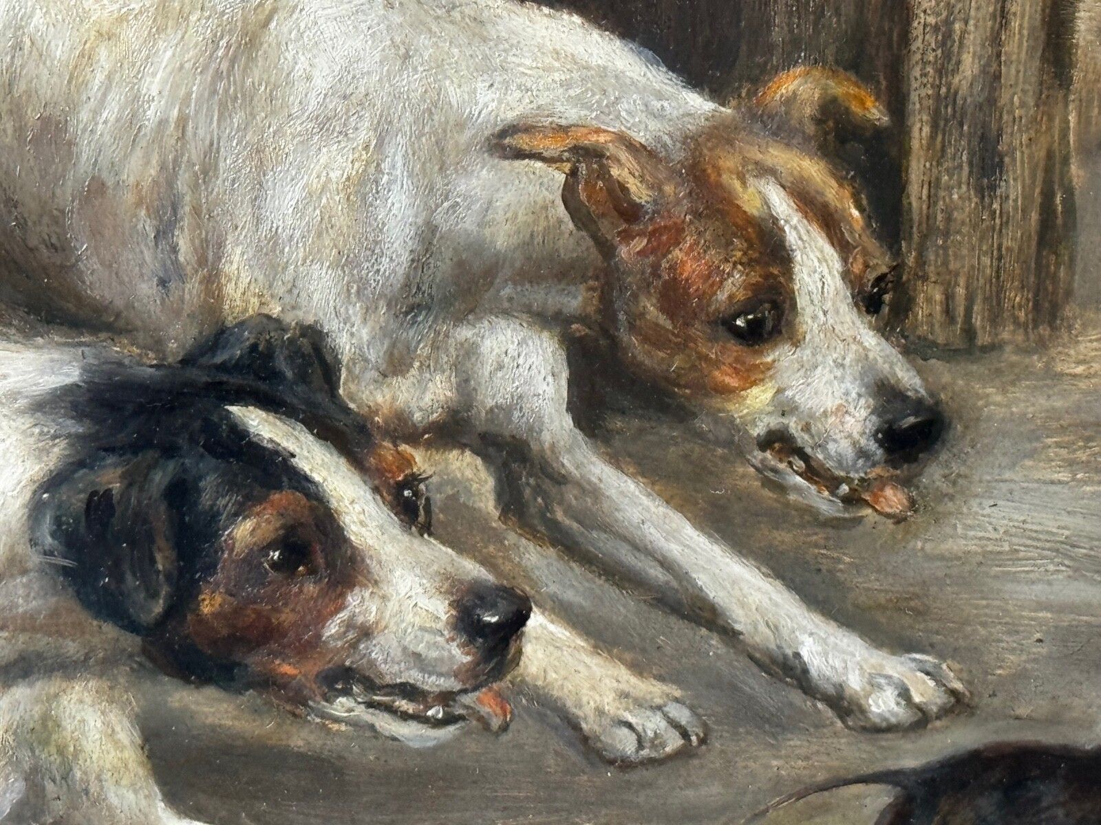 19e-eeuws jachtschilderij in olieverf, twee Jack Russell Terrier honden die een rat achtervolgen in een schuur, gesigneerd door Edward Aistrop photo vintage