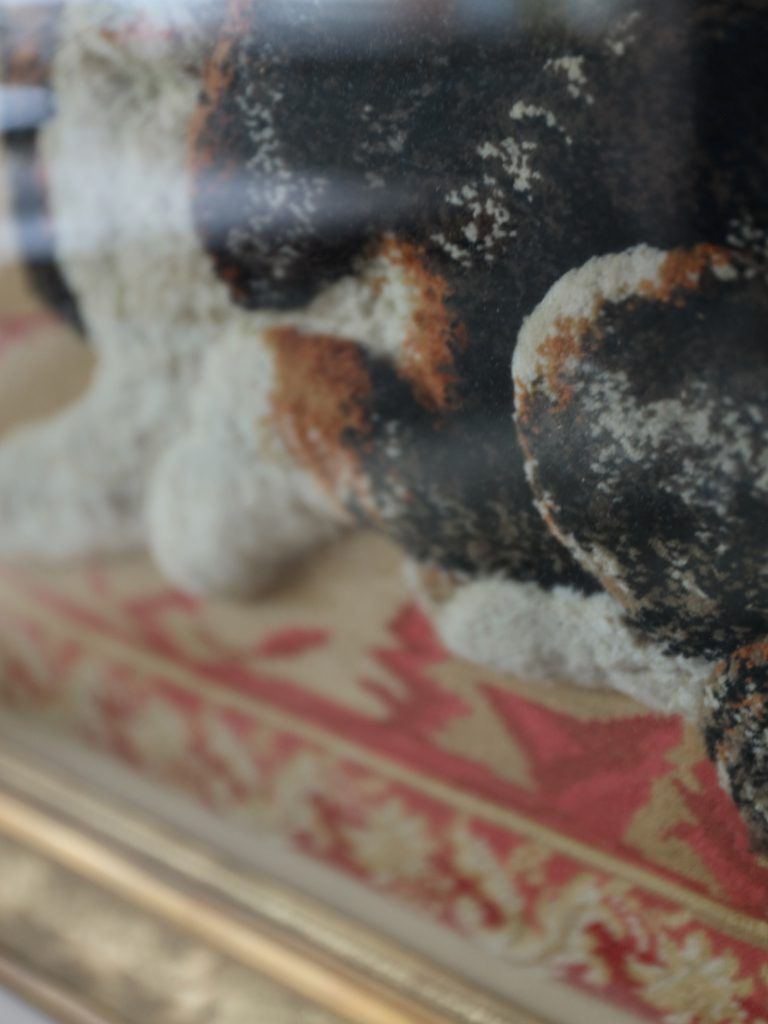 photo furniture Large Framed 19th Century Folk Art Woolwork Of A King Charles Spaniel On A Cushion