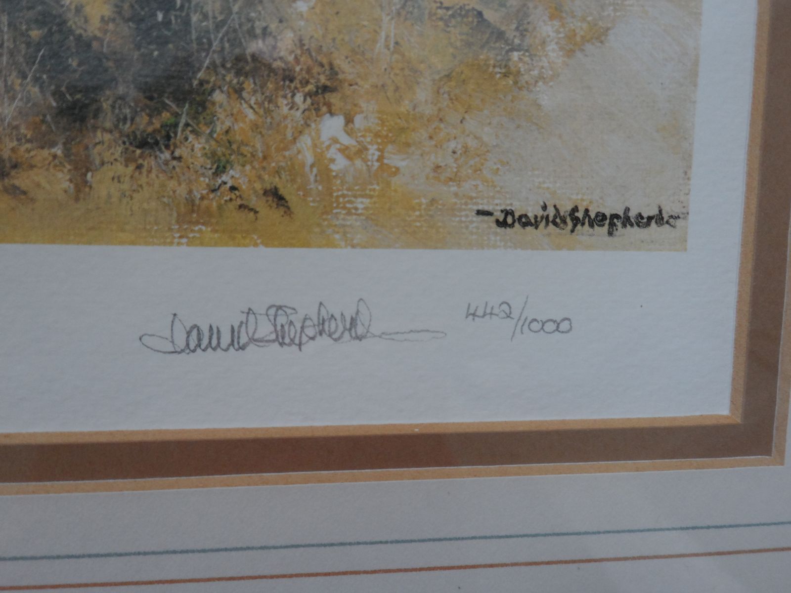 David Shepherd Signed Limited Edition 442/1000 Print = Black Rhino    The Cameo Collection photo for sale