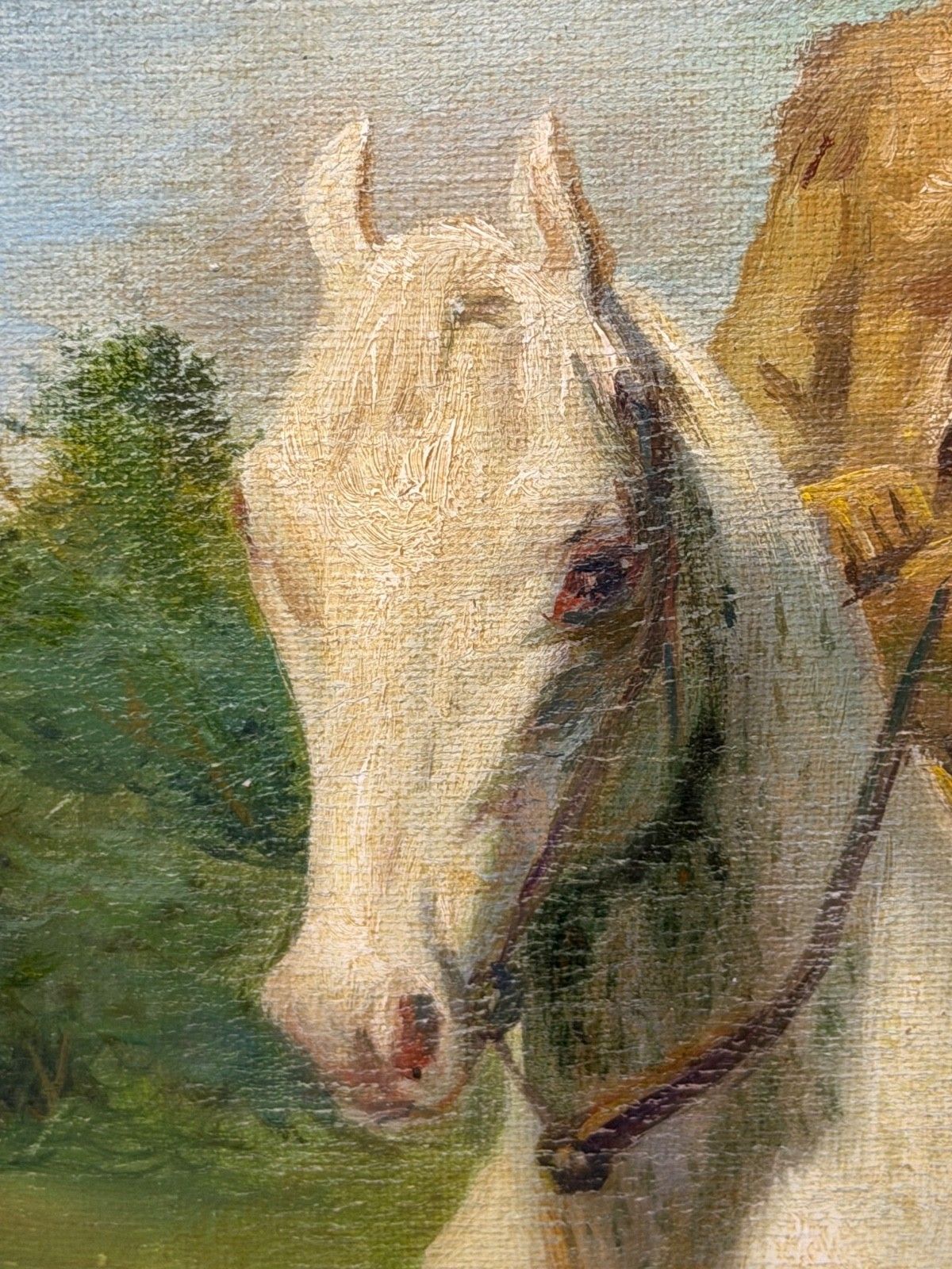 photo for sale Olieverfschilderij Portret van Wild West Buffalo Bill te Paard op een Grijs Paard, naar Rosa Bonheur