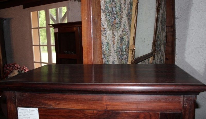 1 Door Cabinet In Rosewood 20th photo Furniture