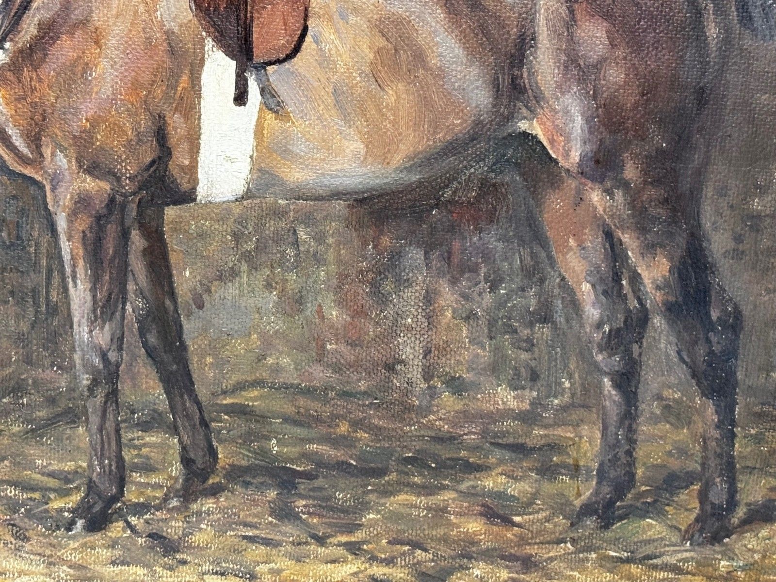 photo buy Early 20th Century Oil Painting Kitty Bay Hunter Mare Of The Chiddingfold, Leconfield & Cowdray Hunt Stables Signed By Murray Mcneel Caird Urquhart