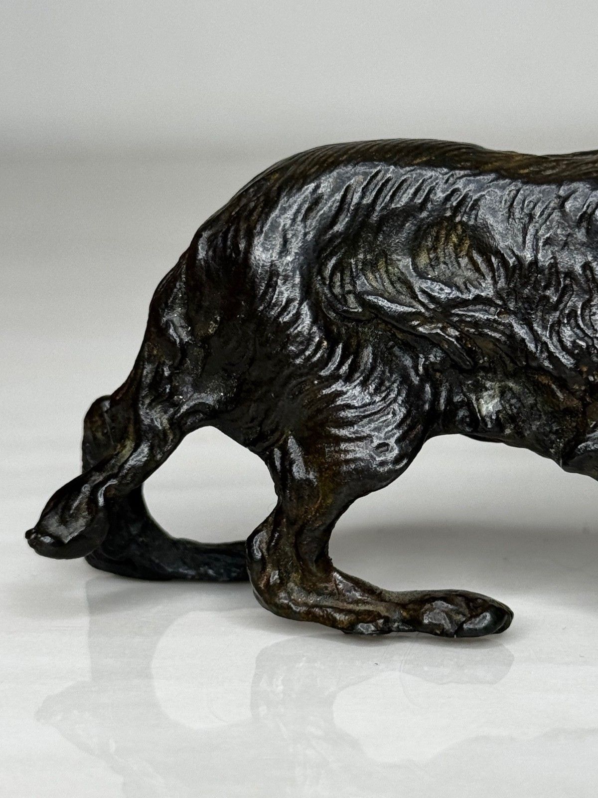 Oostenrijks bronzen langharige tekkel in de stijl van Franz Xaver Bergman photo for sale