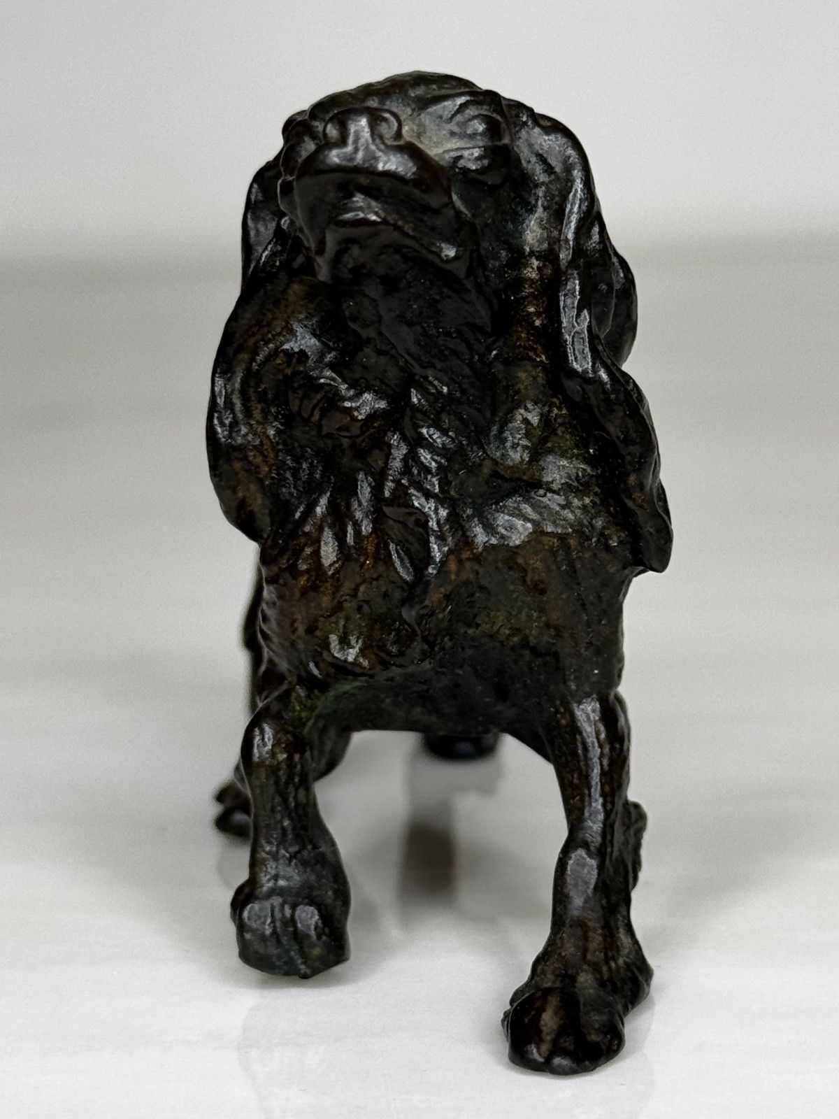 Oostenrijks bronzen langharige tekkel in de stijl van Franz Xaver Bergman photo 750.0