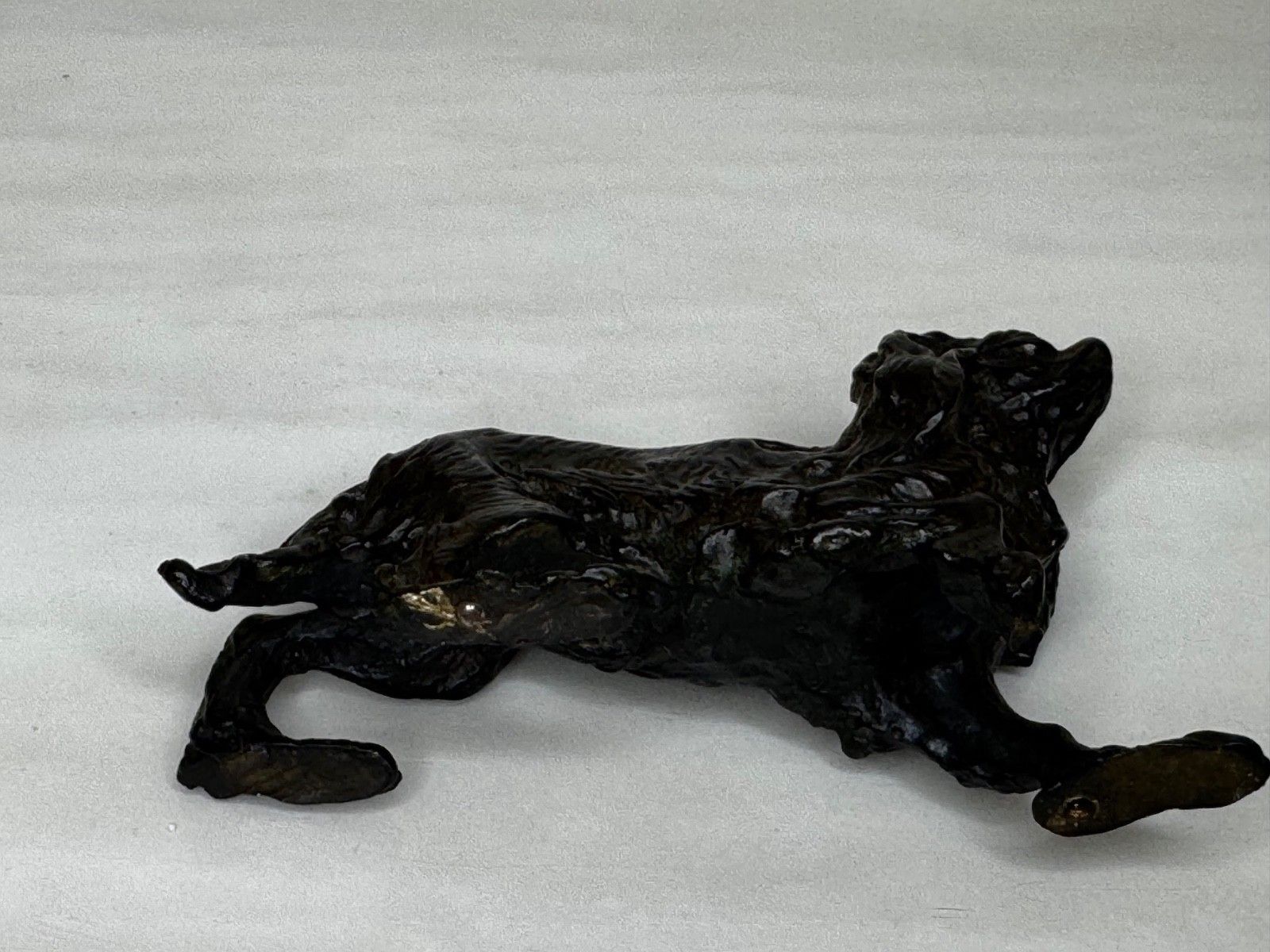 Kunst Oostenrijks bronzen langharige tekkel in de stijl van Franz Xaver Bergman photo