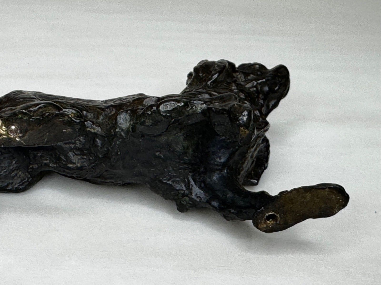 750.0 Oostenrijks bronzen langharige tekkel in de stijl van Franz Xaver Bergman photo