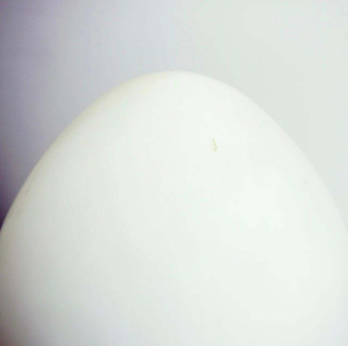 Mid Century Modern Opaline Glass Egg Lamp Attr. Fontana Arte, 1970s photo 585.0