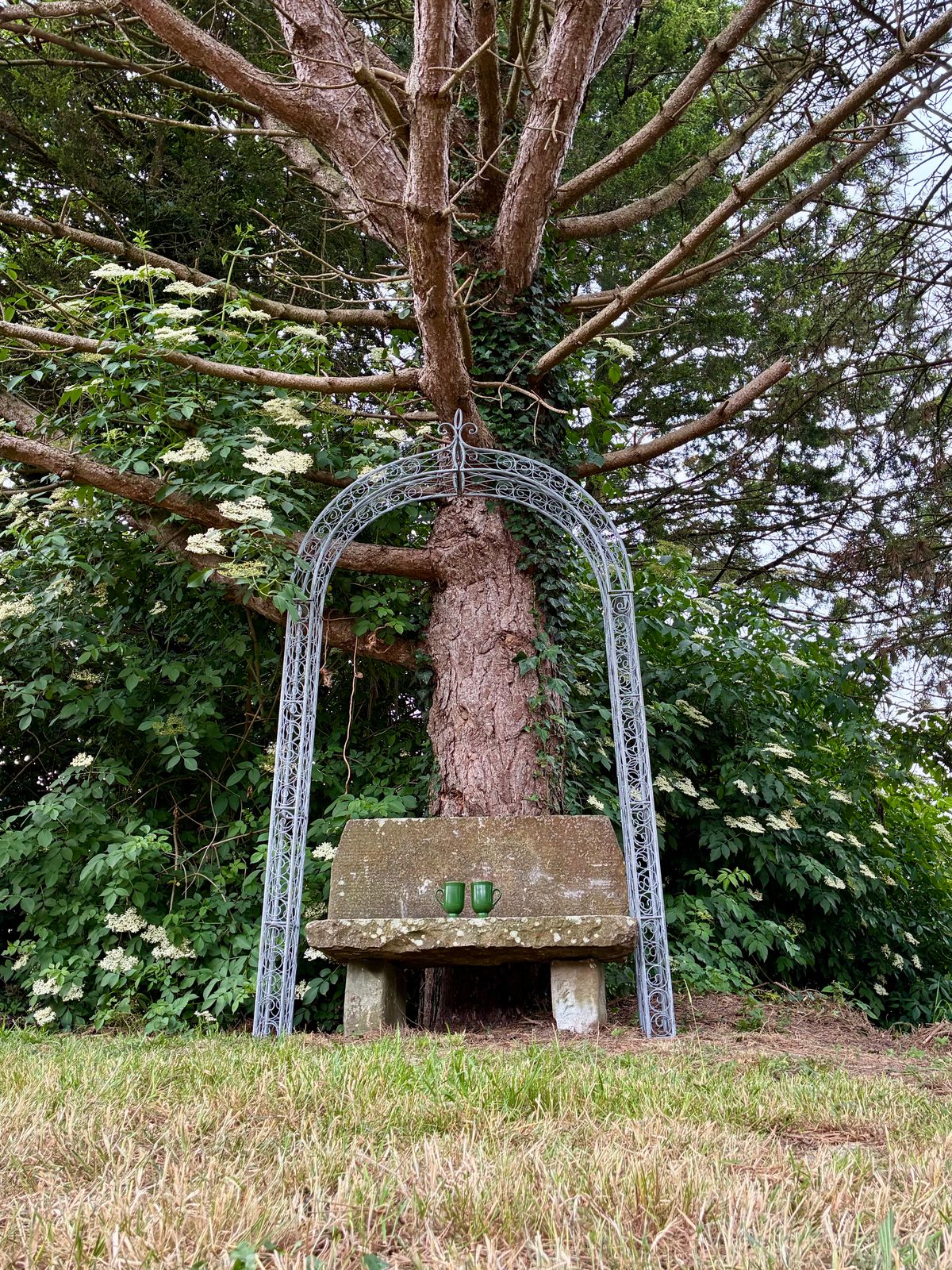 Metal Victorian Style Garden Arch Pergola