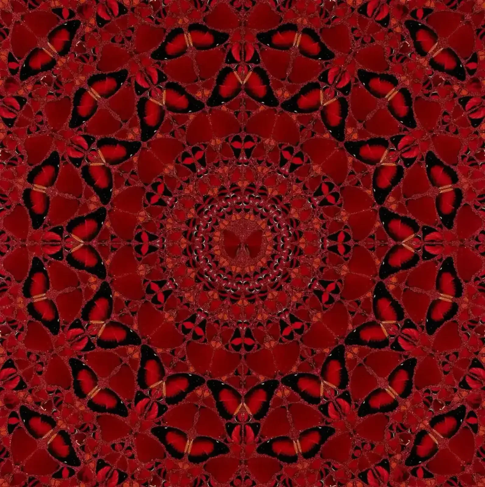 Damien Hirst, Suiko H10 4, 2022