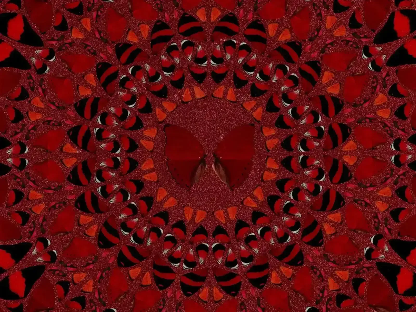 Damien Hirst, Suiko H10 4, 2022 photo Art