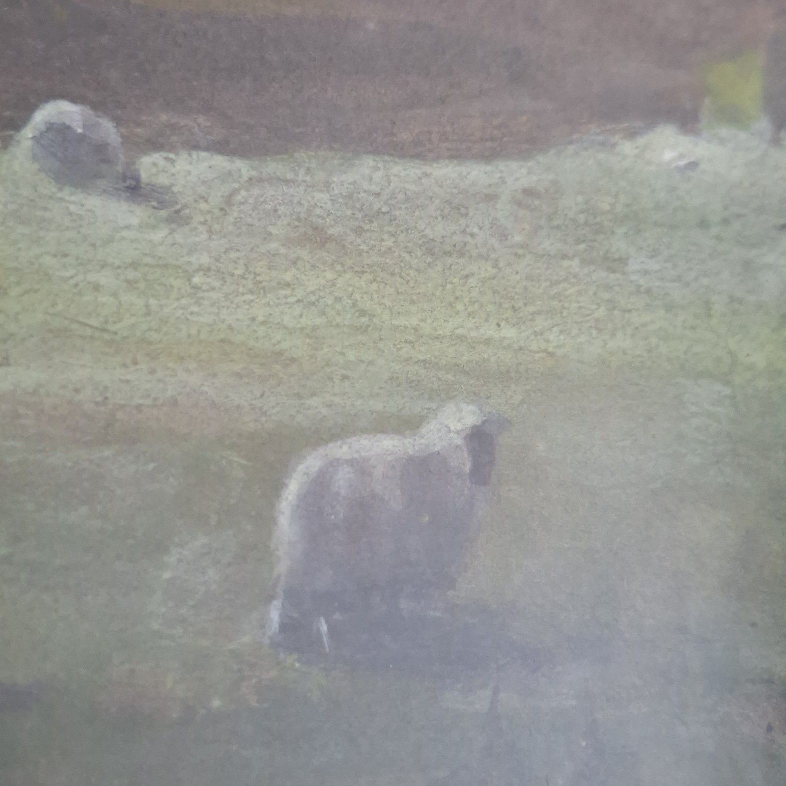 Tom Campbell Original Gouache Watercolour Scottish Landscape Sheep Antique Art photo furniture